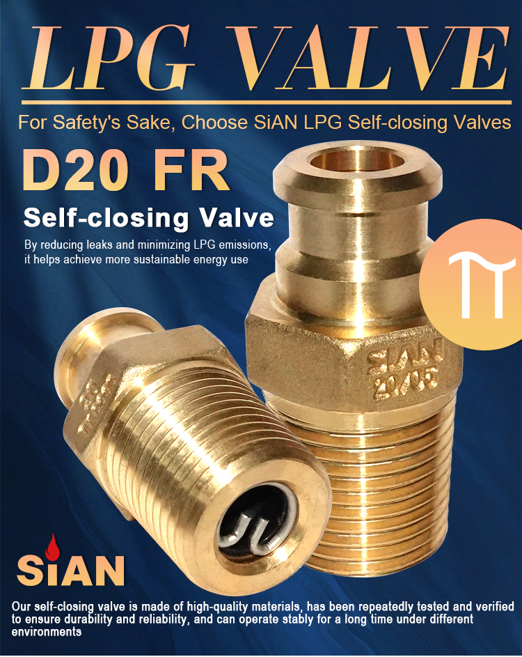 D20 LPG自关闭阀（1）
