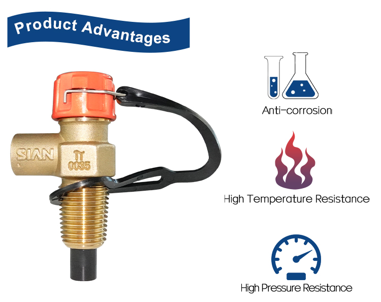 D21 紧凑型阀门 (4)