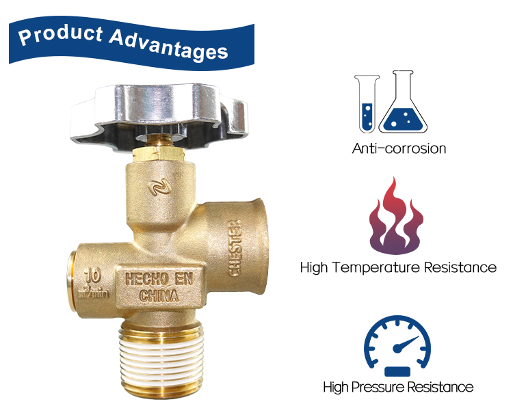 MX100 LPG气缸阀黄铜阀阀的墨西哥（11）