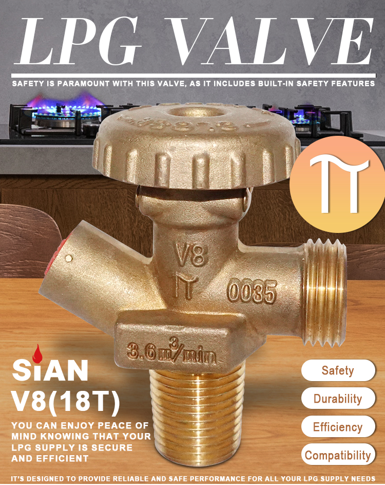 Sian V8 LPG气缸阀（1）