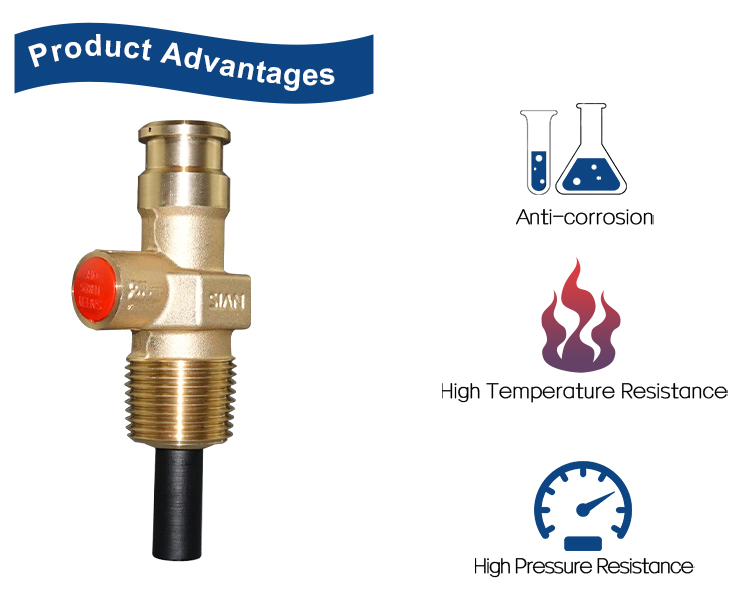 液化石油气紧凑型阀门 (4)