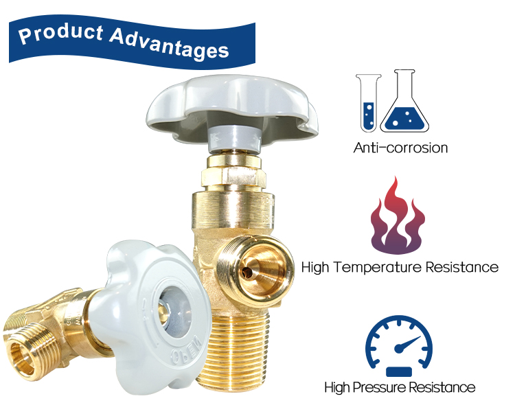 PX-32A氩气缸阀（11）